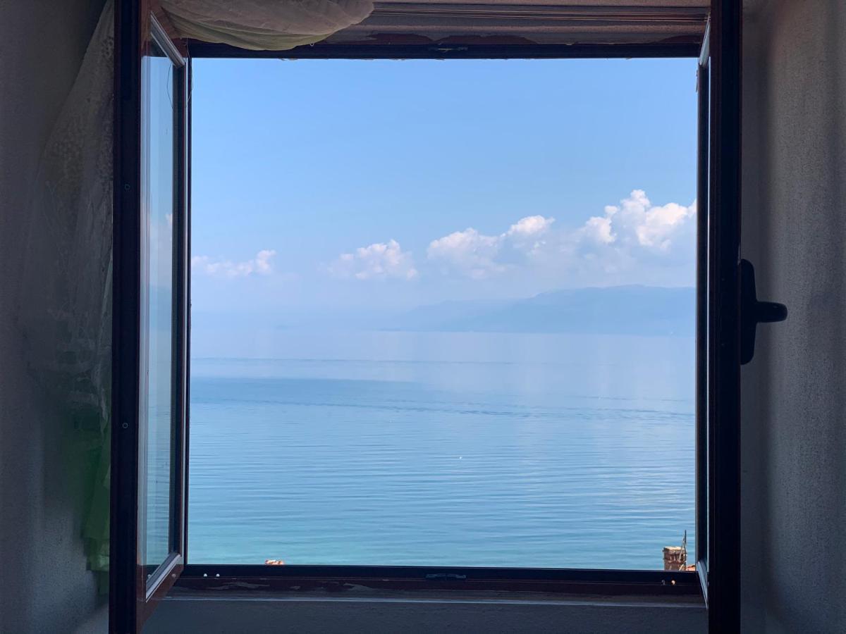 Syzo Pogradec