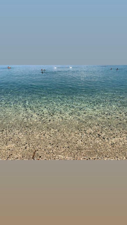 Syzo * Pogradec