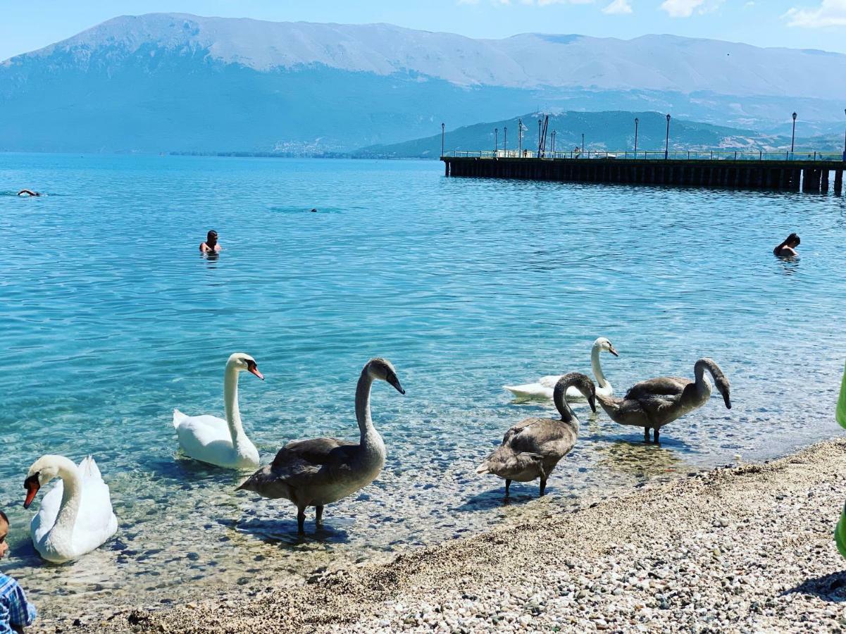 Apartment Syzo Pogradec